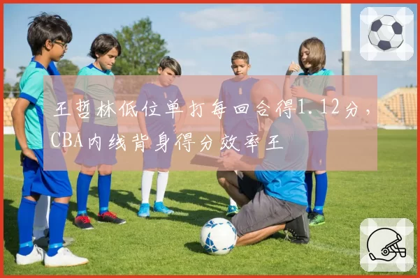 王哲林低位单打每回合得1.12分，CBA内线背身得分效率王