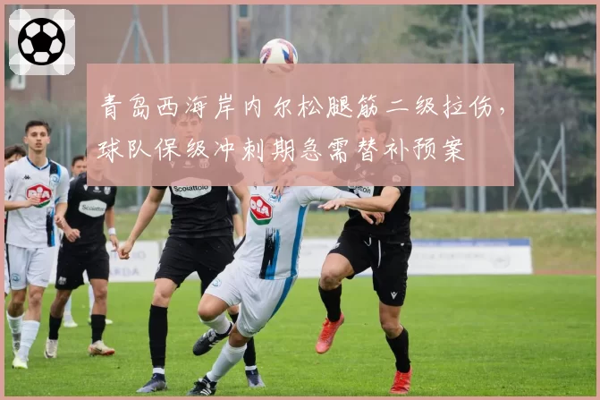 青岛西海岸内尔松腿筋二级拉伤，球队保级冲刺期急需替补预案