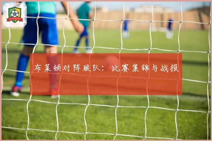 布莱顿对阵狼队：比赛集锦与战报