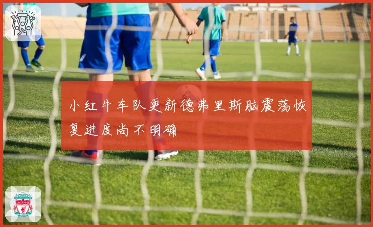 小红牛车队更新德弗里斯脑震荡恢复进度尚不明确