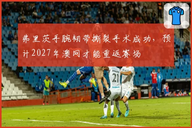 弗里茨手腕韧带撕裂手术成功，预计2027年澳网才能重返赛场