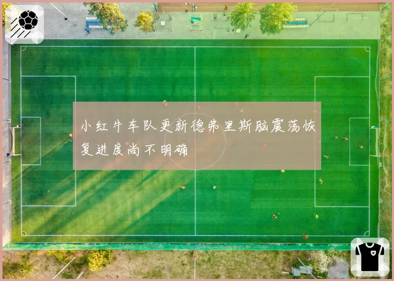 小红牛车队更新德弗里斯脑震荡恢复进度尚不明确